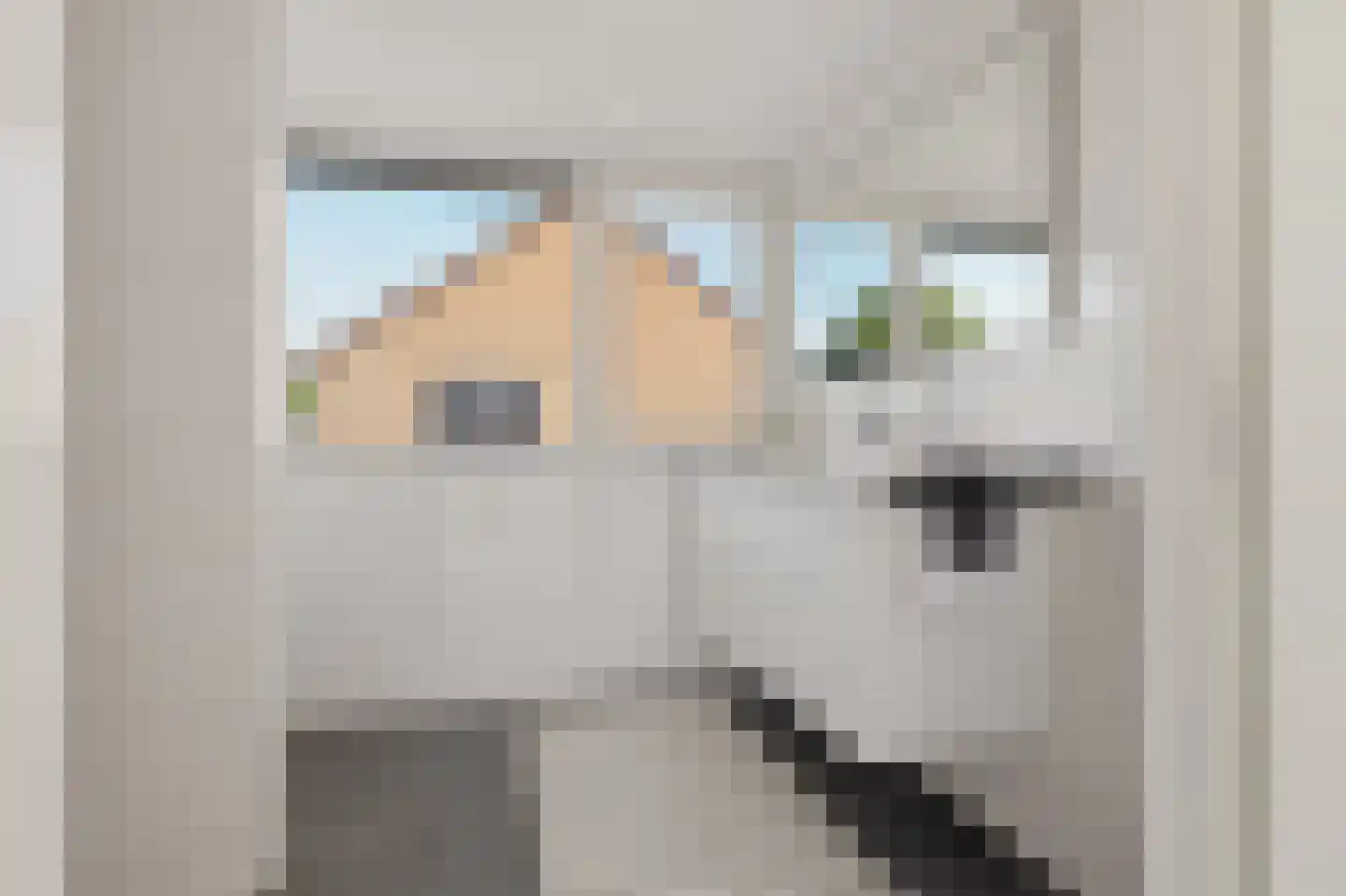 Weiver 68 Westzaan thumbnail 30