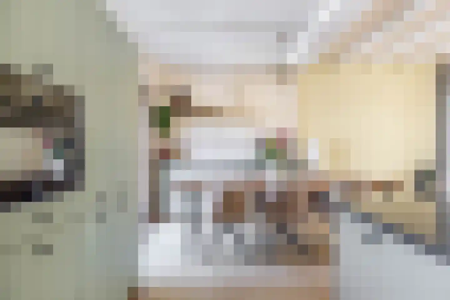Weiver 7 Westzaan thumbnail 21