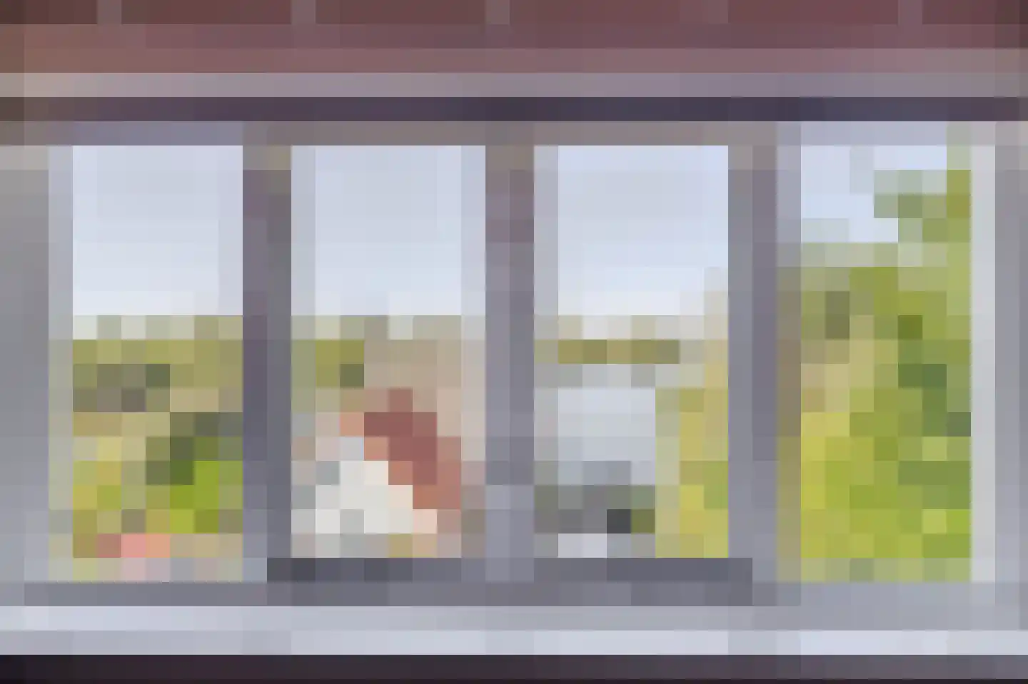 Weiver 7 Westzaan thumbnail 32
