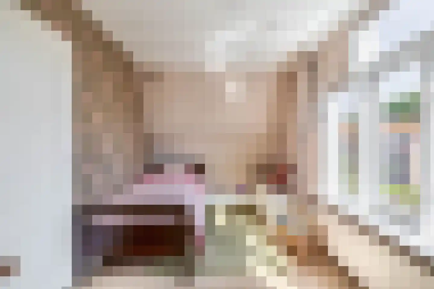 Weiver 7 Westzaan thumbnail 36