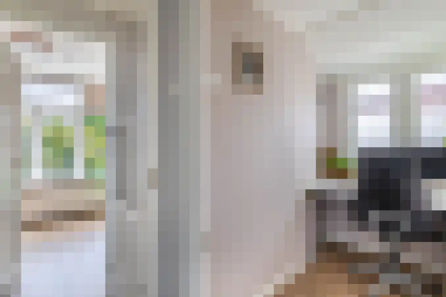 Weiver 7 Westzaan thumbnail 38