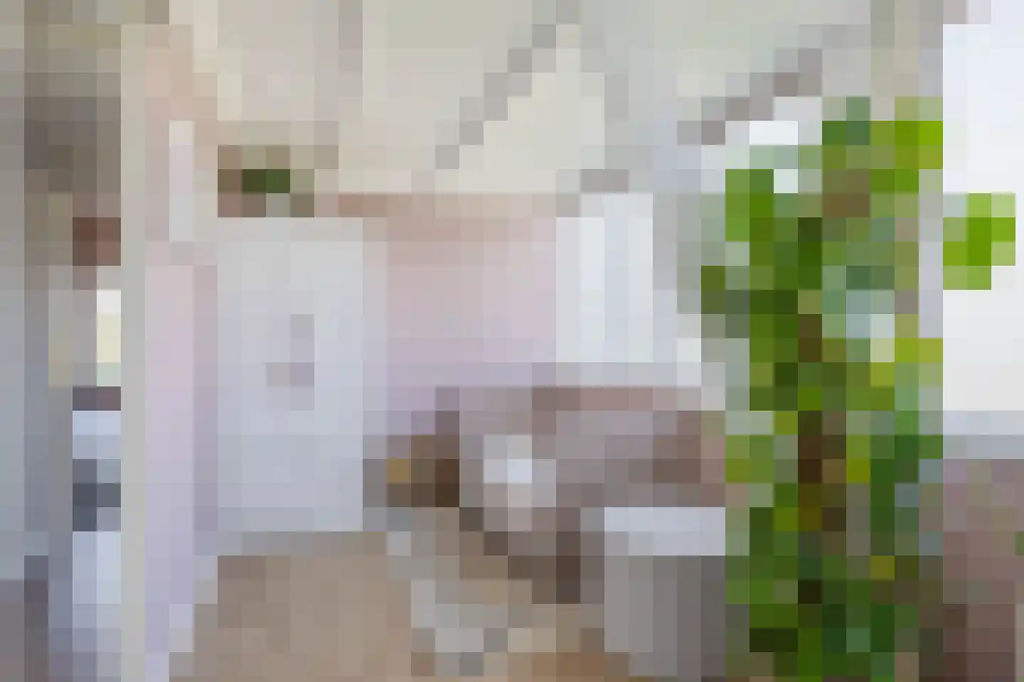 Weiver 7 Westzaan thumbnail 41
