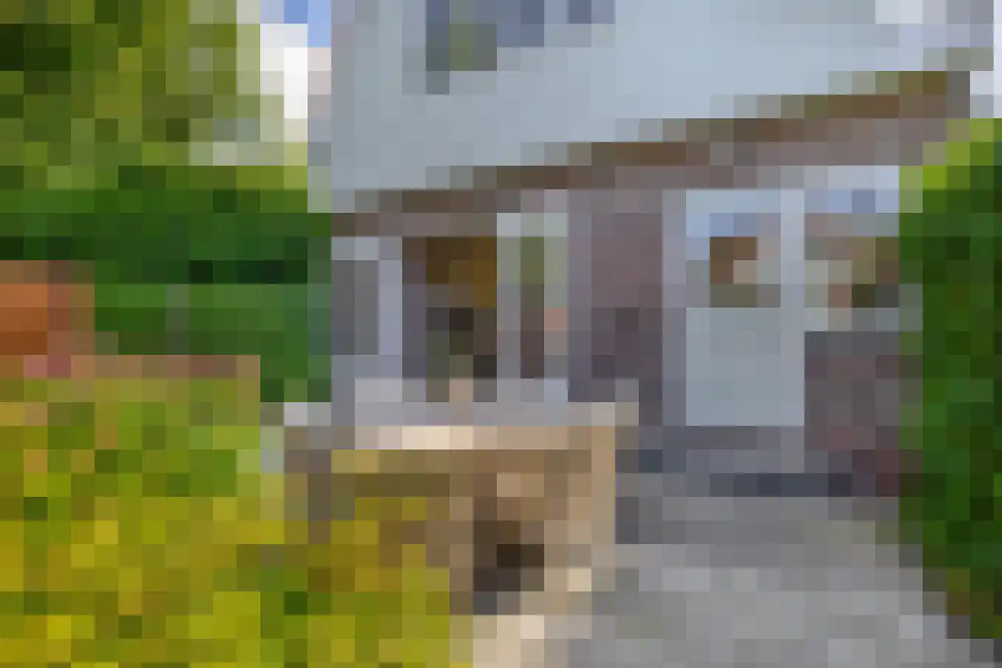 Weiver 7 Westzaan thumbnail 47
