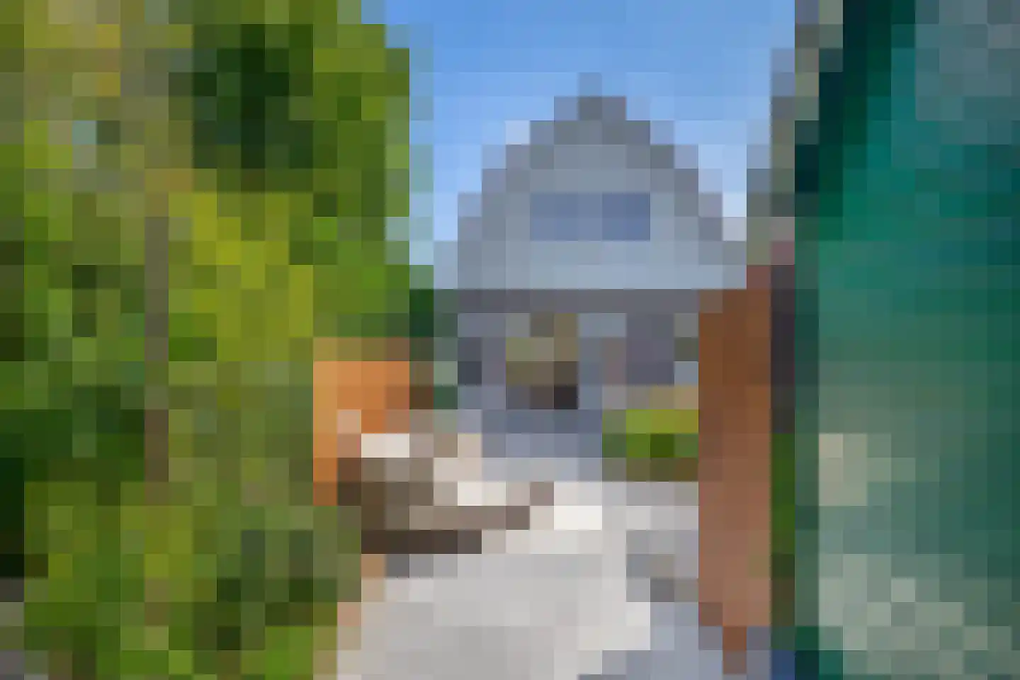 Weiver 7 Westzaan thumbnail 53