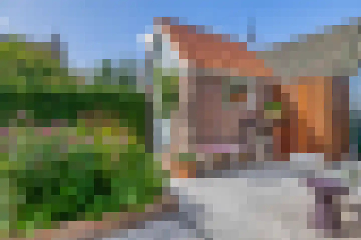 Weiver 7 Westzaan thumbnail 55