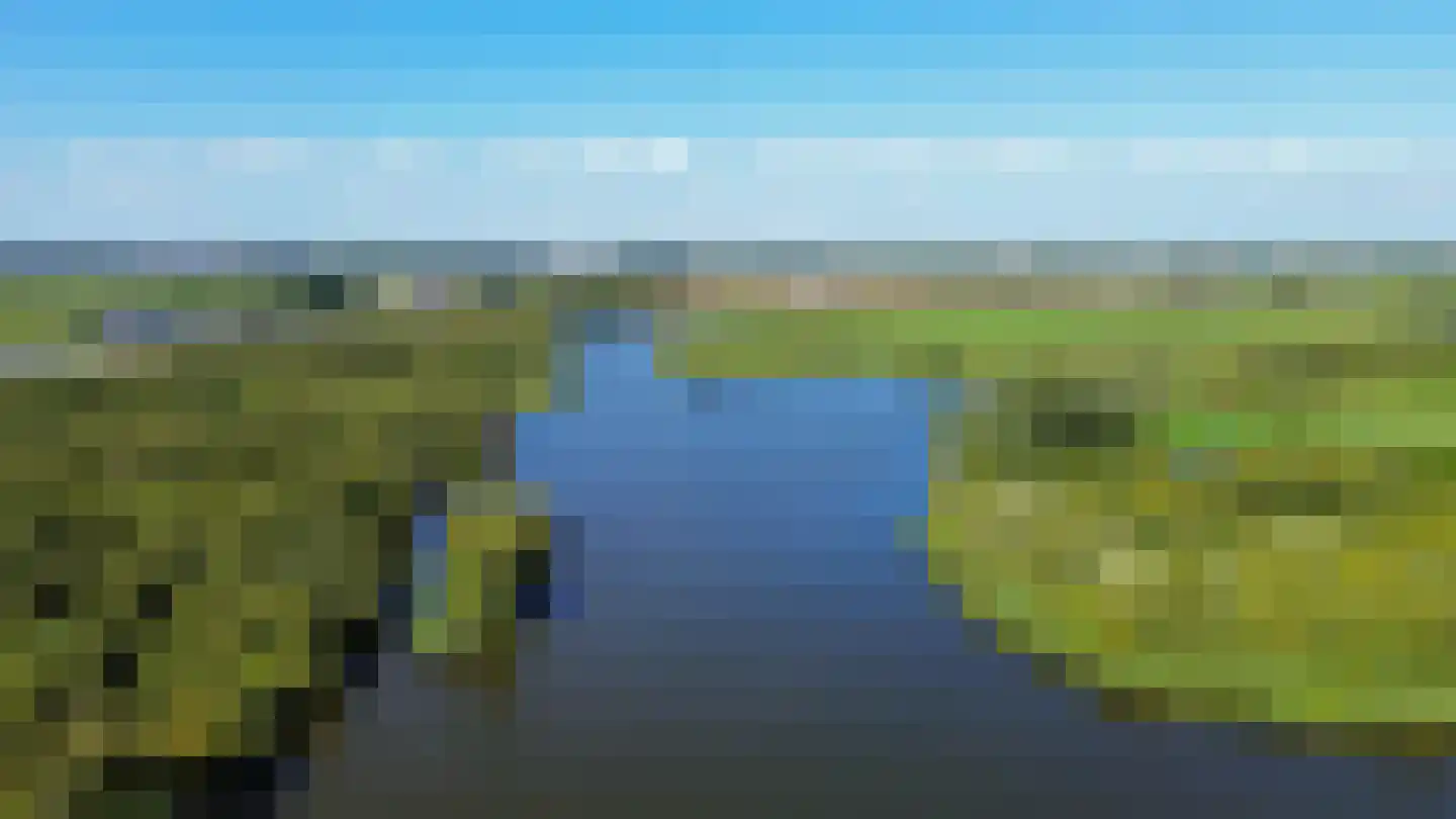 Weiver 7 Westzaan thumbnail 64