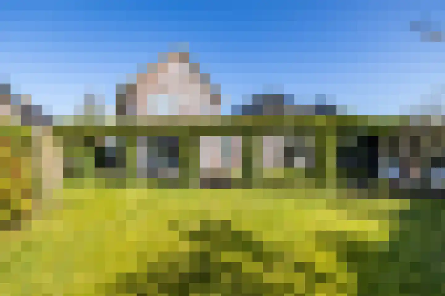 Weiwerd 9 Groningen thumbnail 32