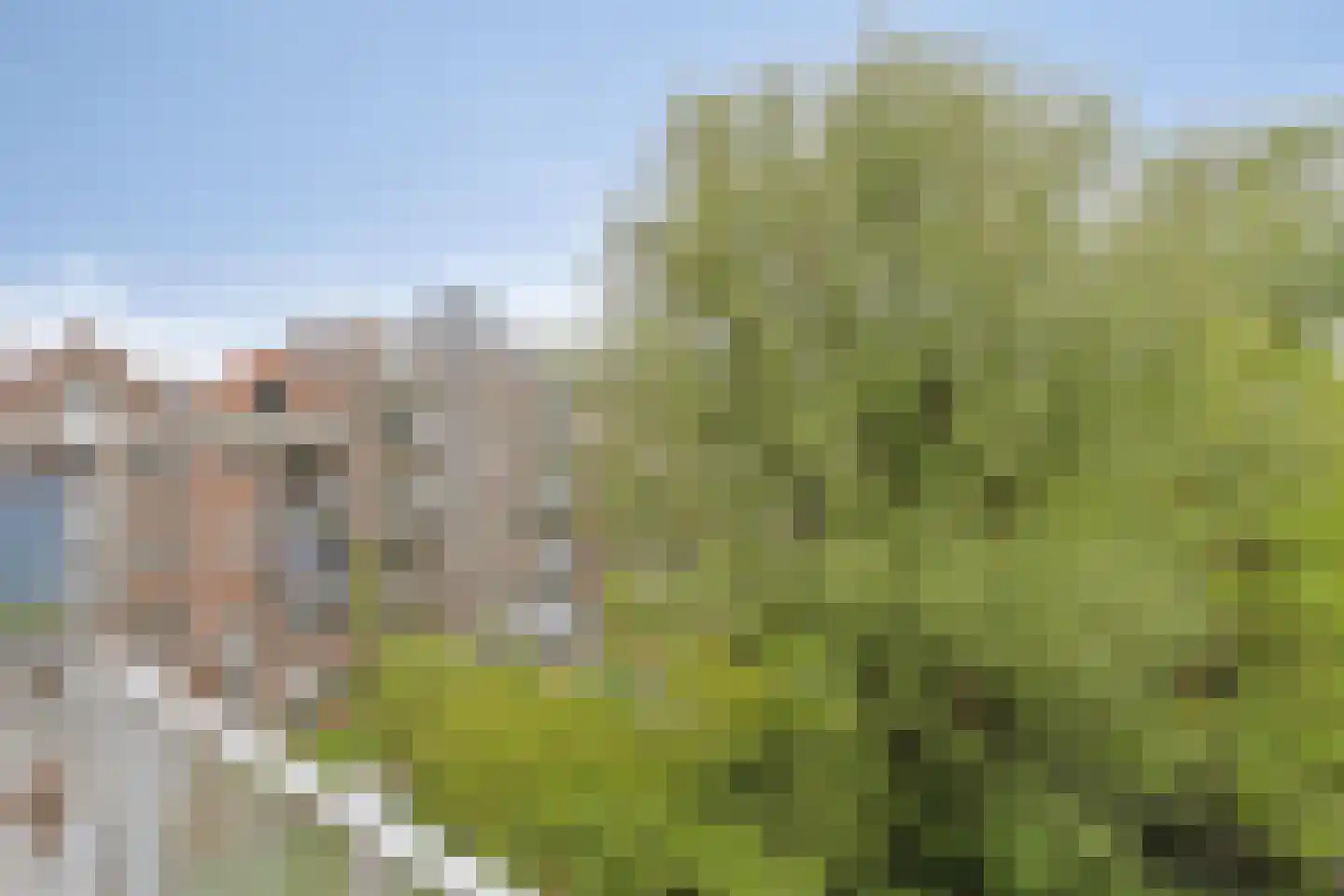 Weizichtstraat 21 Rotterdam thumbnail 17