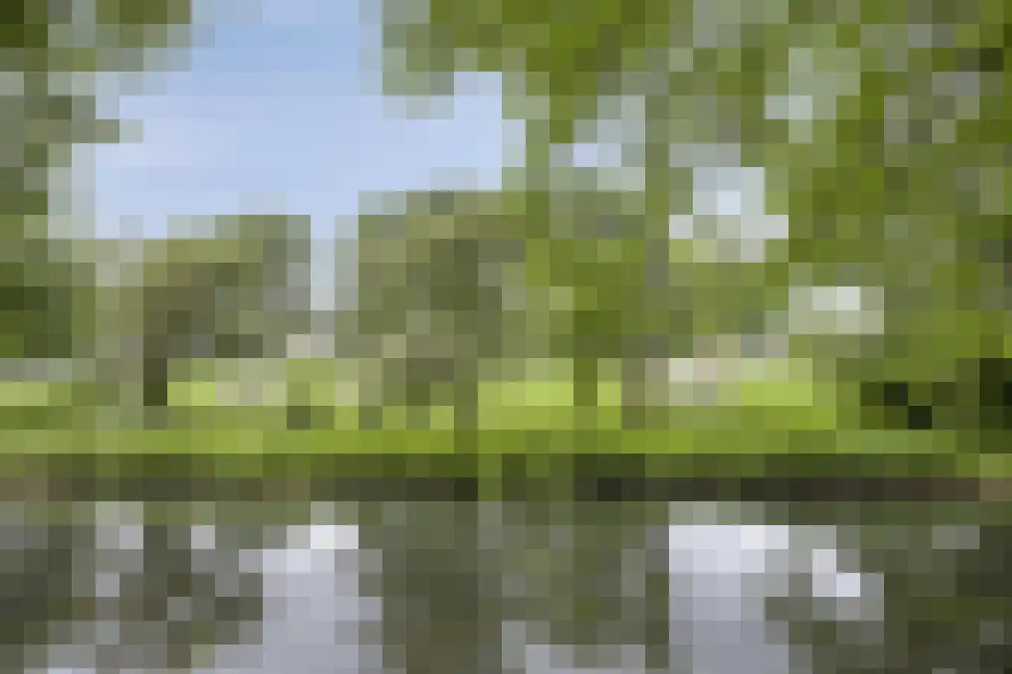 Weizichtstraat 21 Rotterdam thumbnail 21