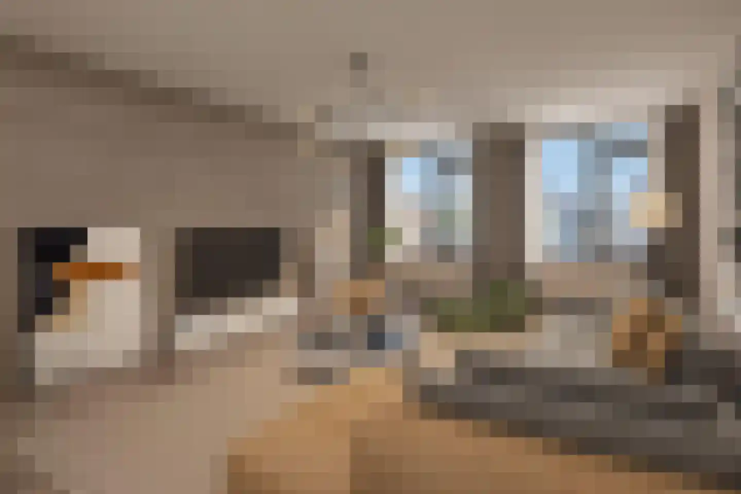 Weizichtstraat 21 Rotterdam thumbnail 4