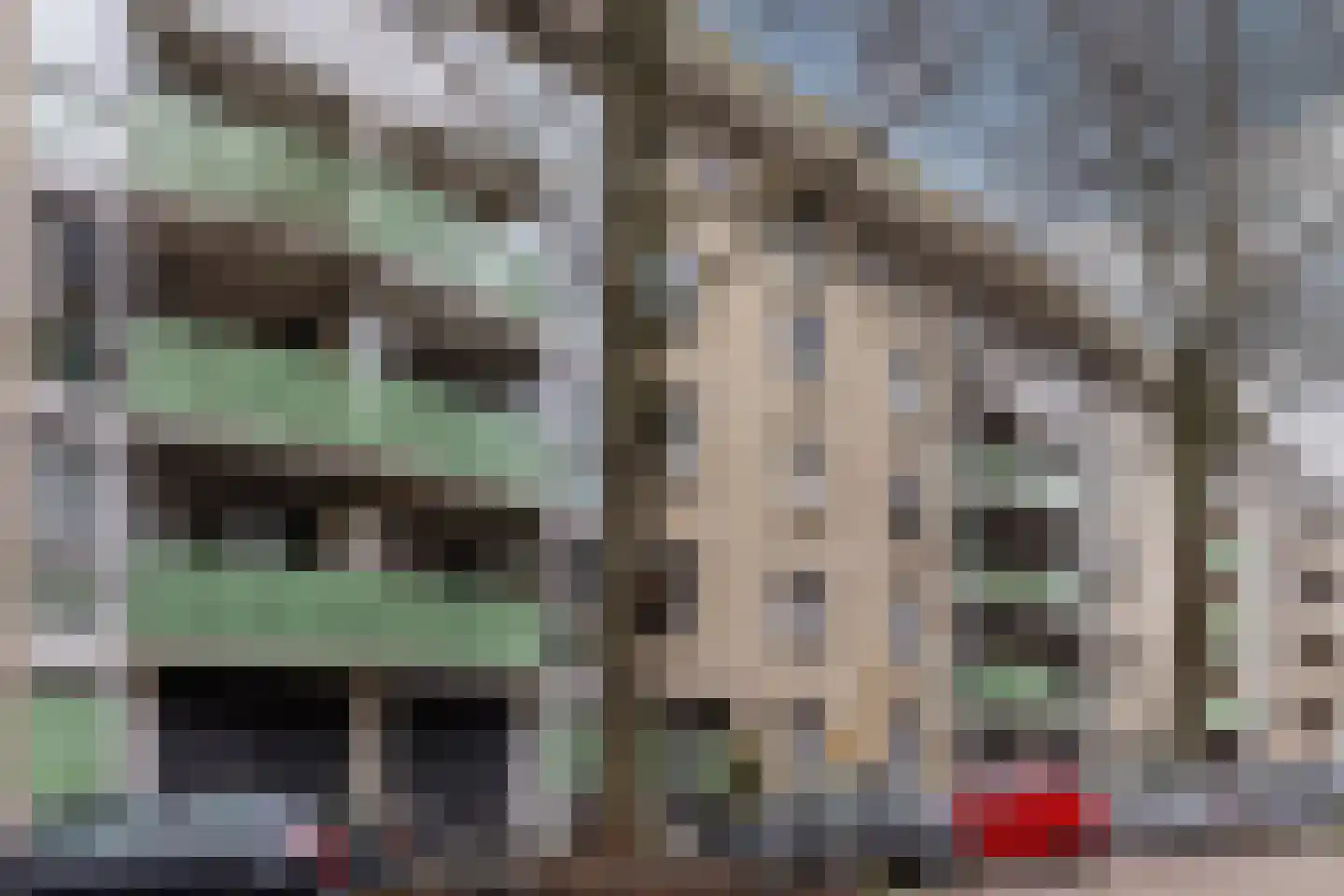Weizichtstraat 33 Rotterdam thumbnail 19