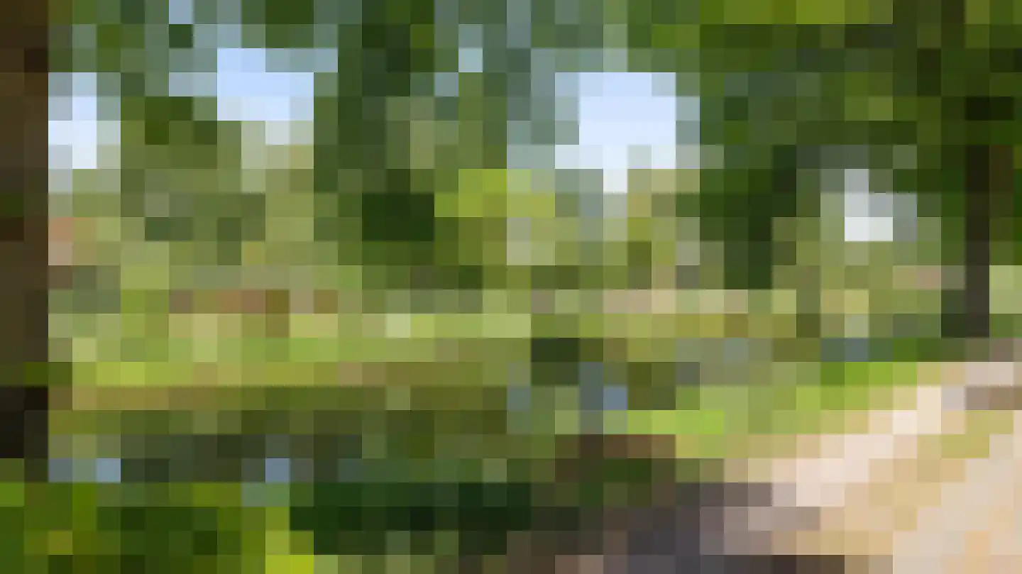 Weizichtstraat 33 Rotterdam foto 2