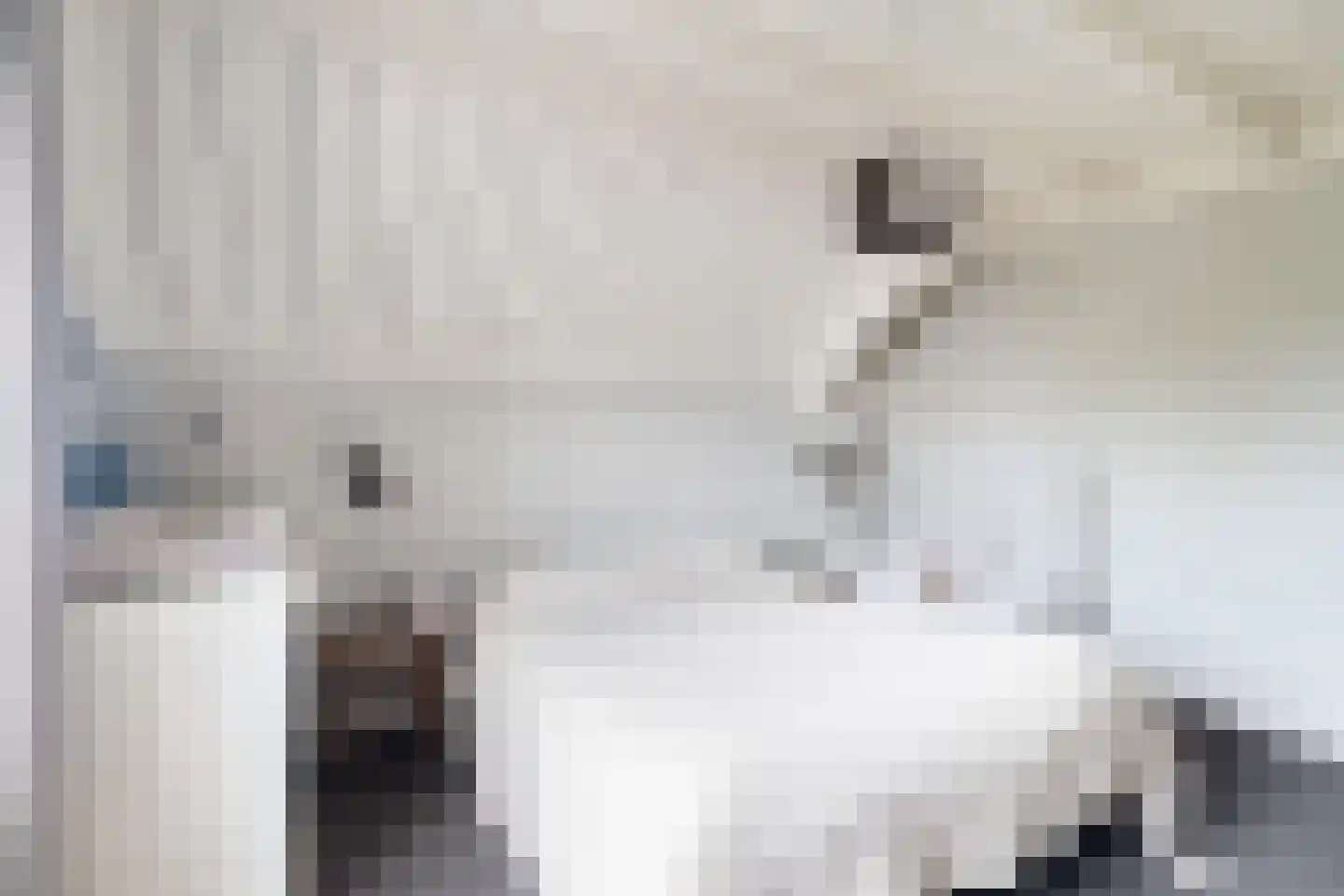 Wekeromse Buurtweg 3 Wekerom thumbnail 16