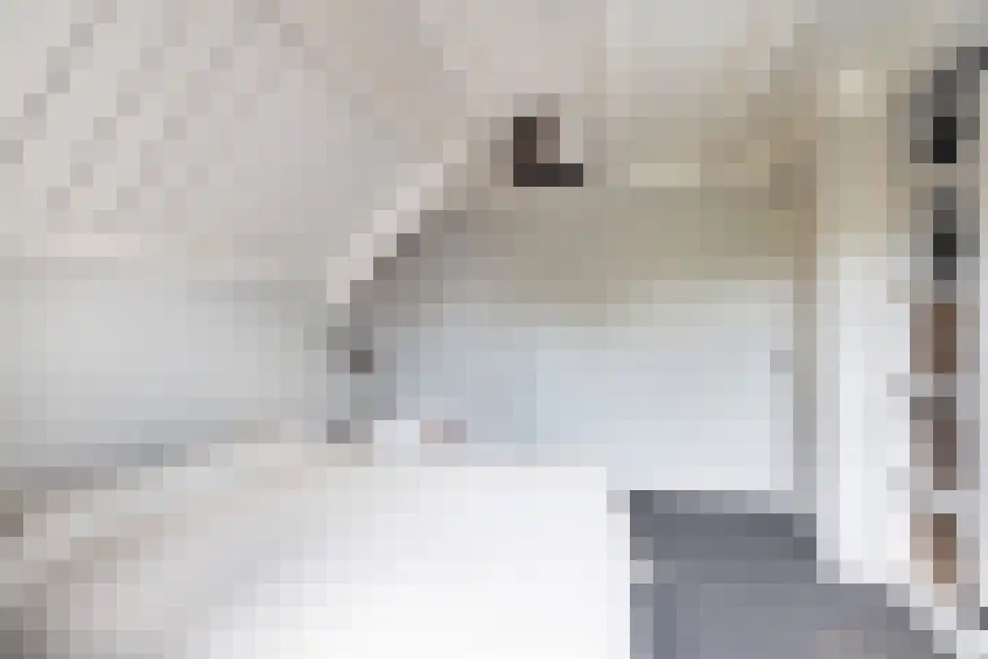 Wekeromse Buurtweg 3 Wekerom thumbnail 17