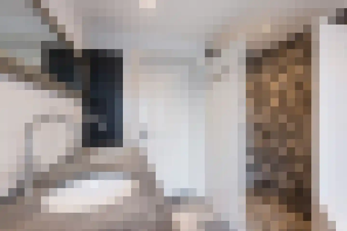 Wekeromse Buurtweg 3 Wekerom thumbnail 20