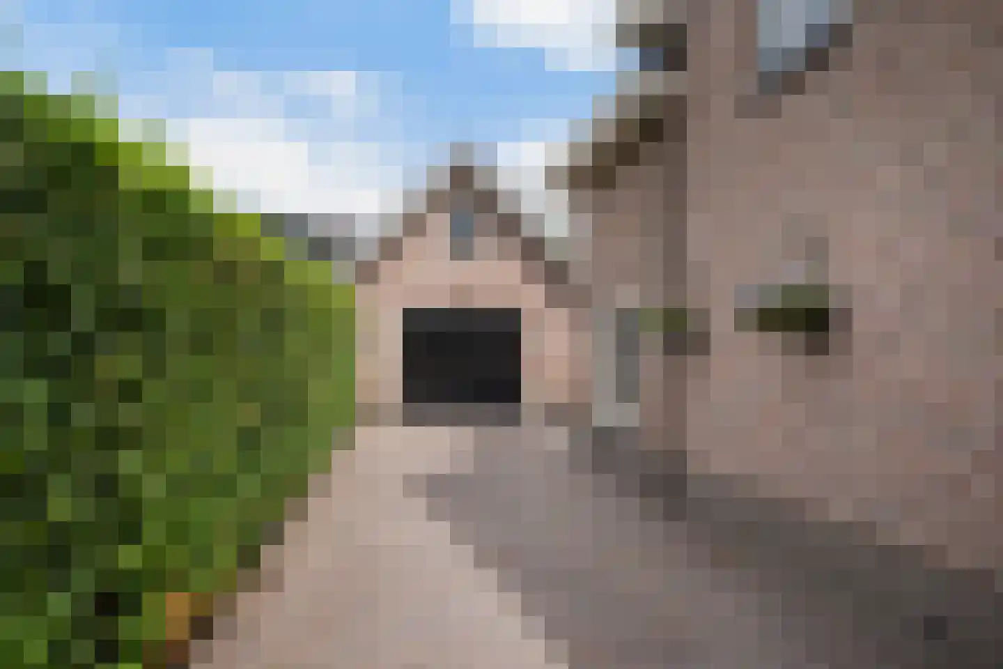 Wekeromse Buurtweg 3 Wekerom thumbnail 39