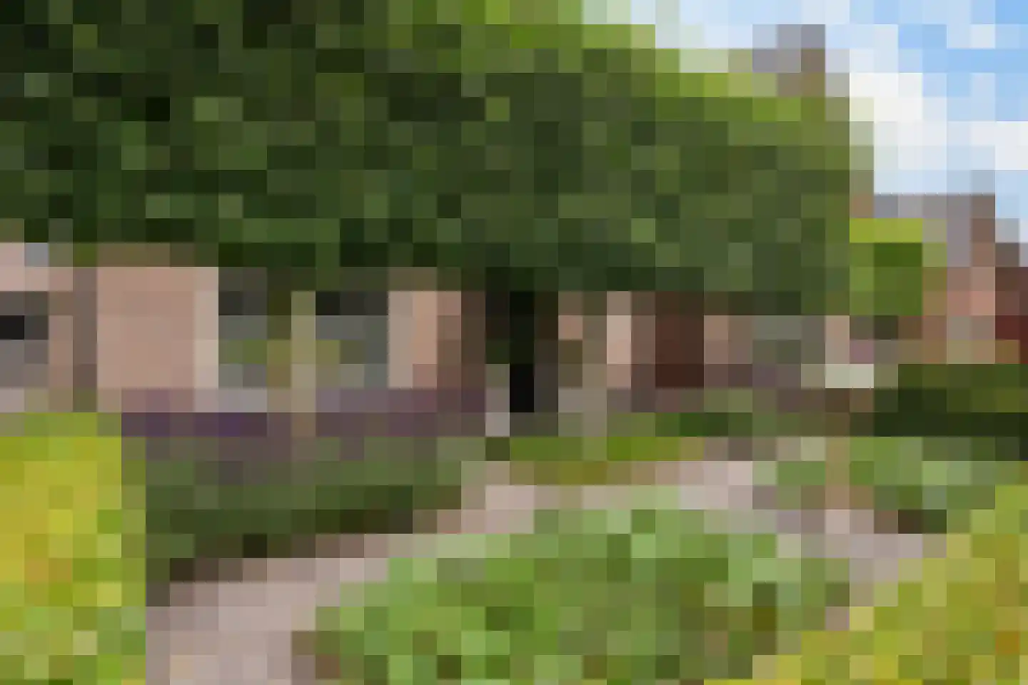 Wekeromse Buurtweg 3 Wekerom thumbnail 40