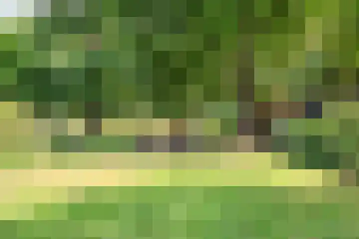 Wekeromseweg 2 Arnhem thumbnail 11