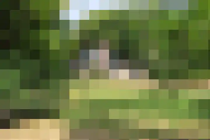 Wekeromseweg 2 Arnhem thumbnail 12