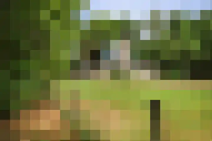Wekeromseweg 2 Arnhem thumbnail 14