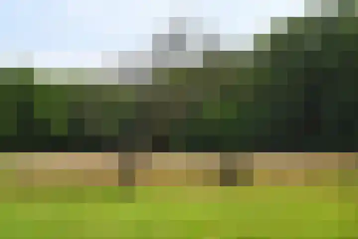 Wekeromseweg 2 Arnhem thumbnail 15