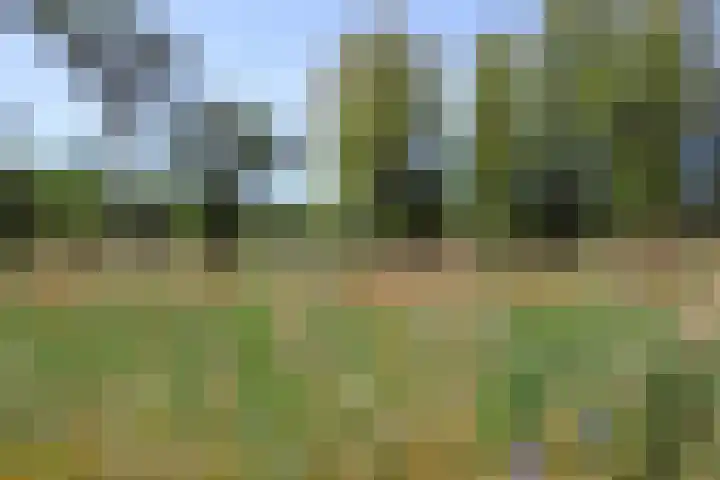 Wekeromseweg 2 Arnhem thumbnail 17