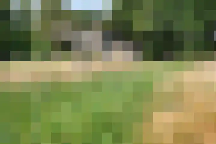 Wekeromseweg 2 Arnhem thumbnail 18