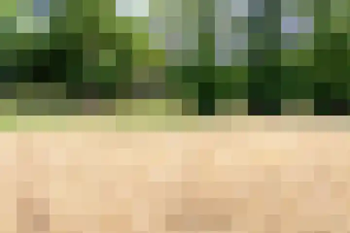 Wekeromseweg 2 Arnhem thumbnail 20
