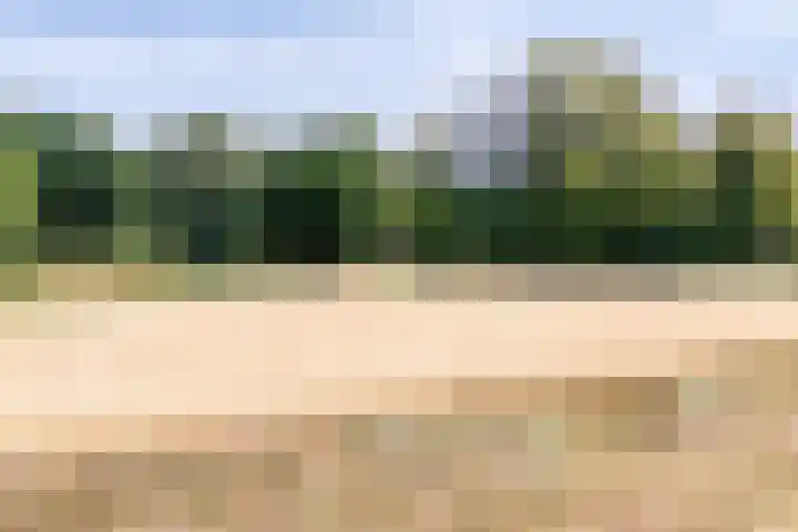 Wekeromseweg 2 Arnhem thumbnail 21