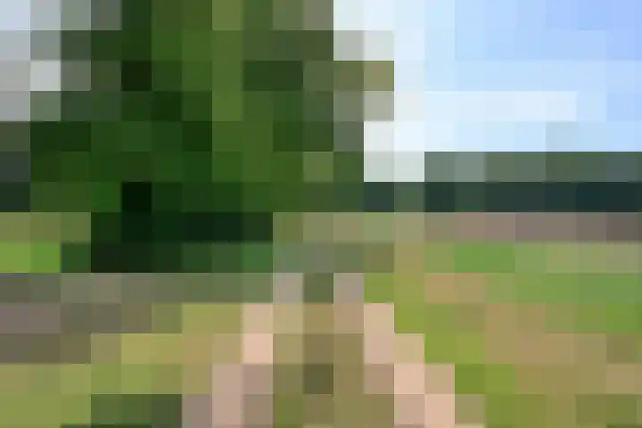 Wekeromseweg 2 Arnhem thumbnail 22