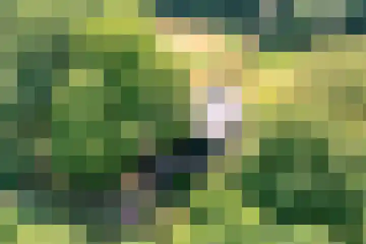 Wekeromseweg 2 Arnhem thumbnail 4