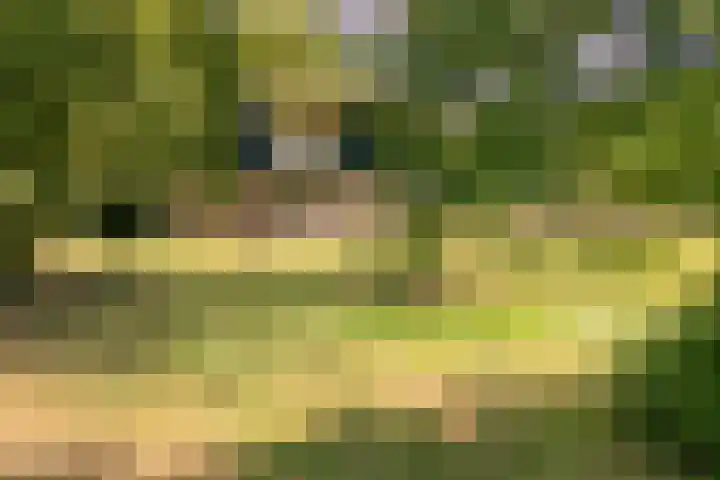 Wekeromseweg 2 Arnhem thumbnail 5