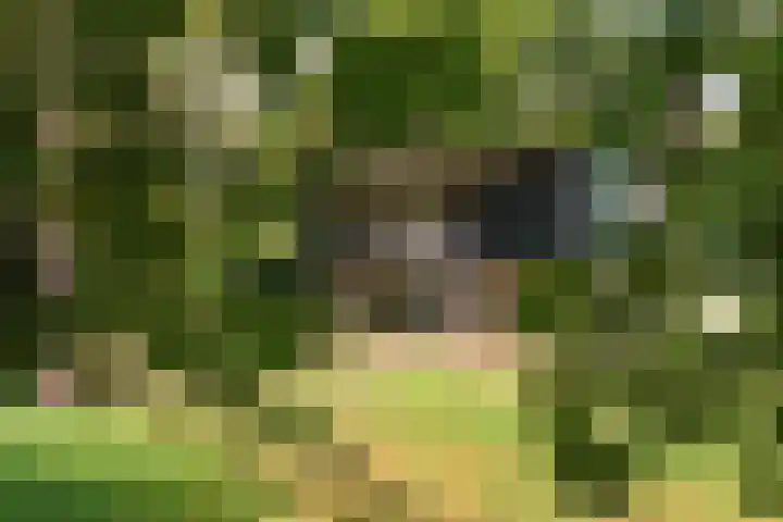 Wekeromseweg 2 Arnhem thumbnail 6