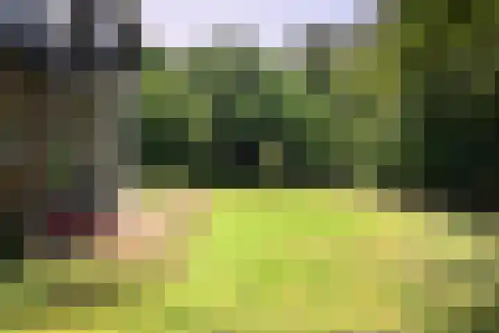 Wekeromseweg 2 Arnhem thumbnail 7