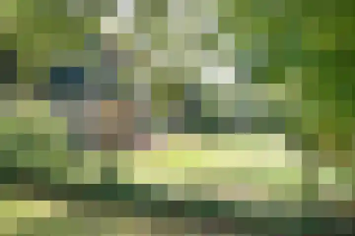 Wekeromseweg 2 Arnhem thumbnail 8