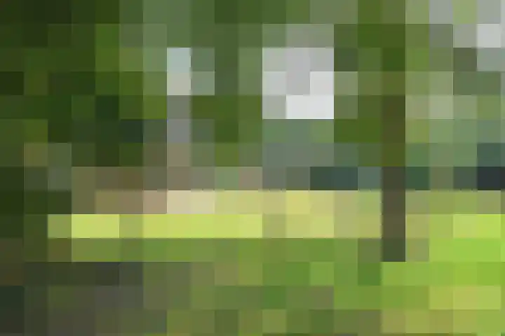 Wekeromseweg 2 Arnhem thumbnail 9
