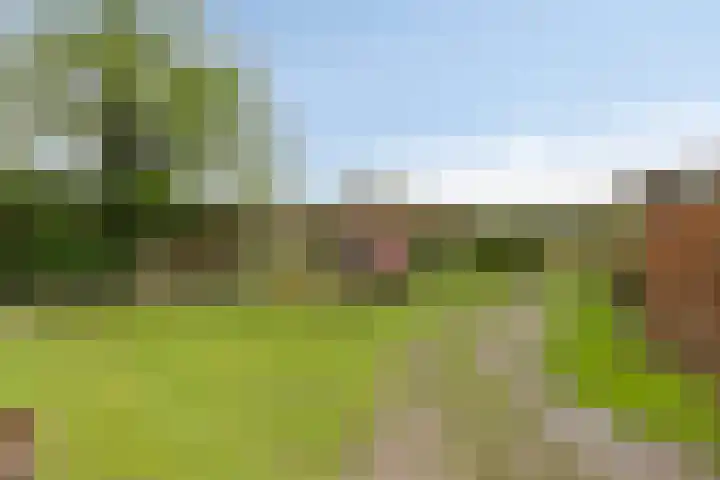 Wekeromseweg 26 Ede thumbnail 28