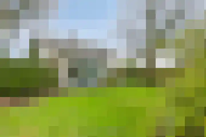 Wekeromseweg 26 Ede thumbnail 35