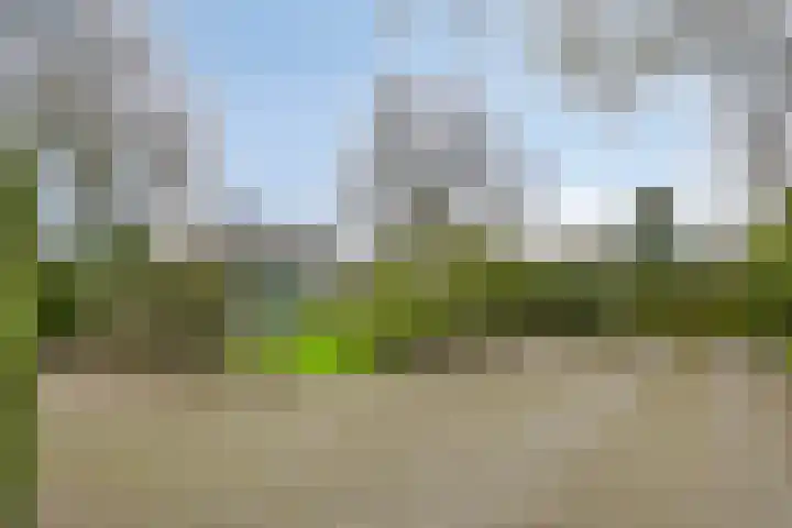 Wekeromseweg 26 Ede thumbnail 39