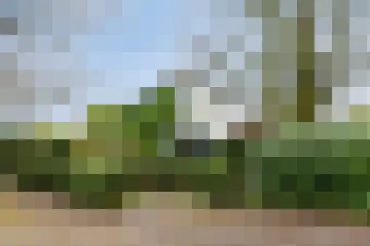 Wekeromseweg 26 Ede thumbnail 41