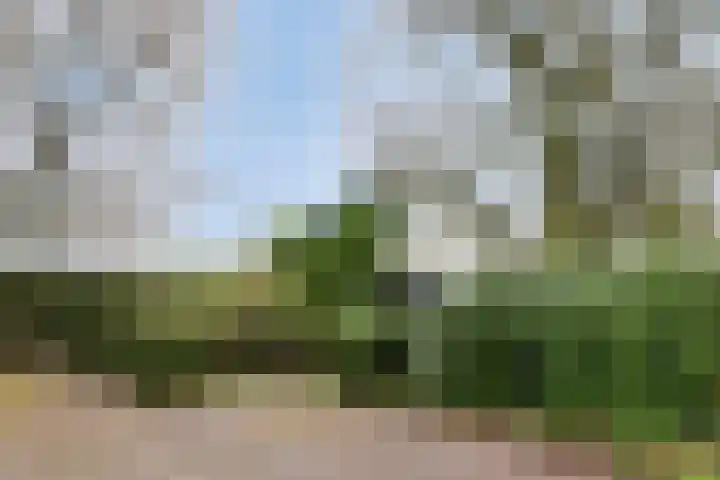 Wekeromseweg 26 Ede thumbnail 42