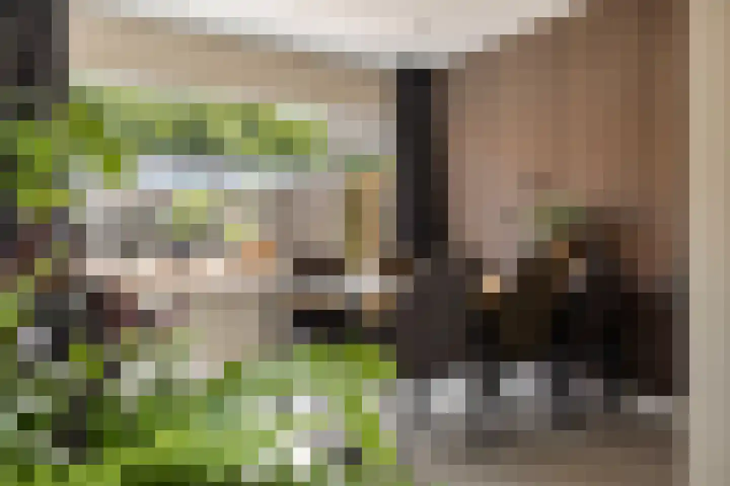 Wekingeslag 25 Emmen thumbnail 14