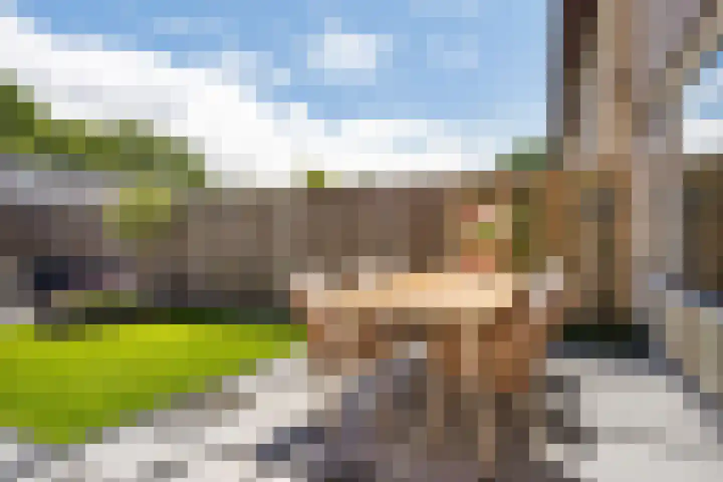 Wekingeslag 25 Emmen thumbnail 34