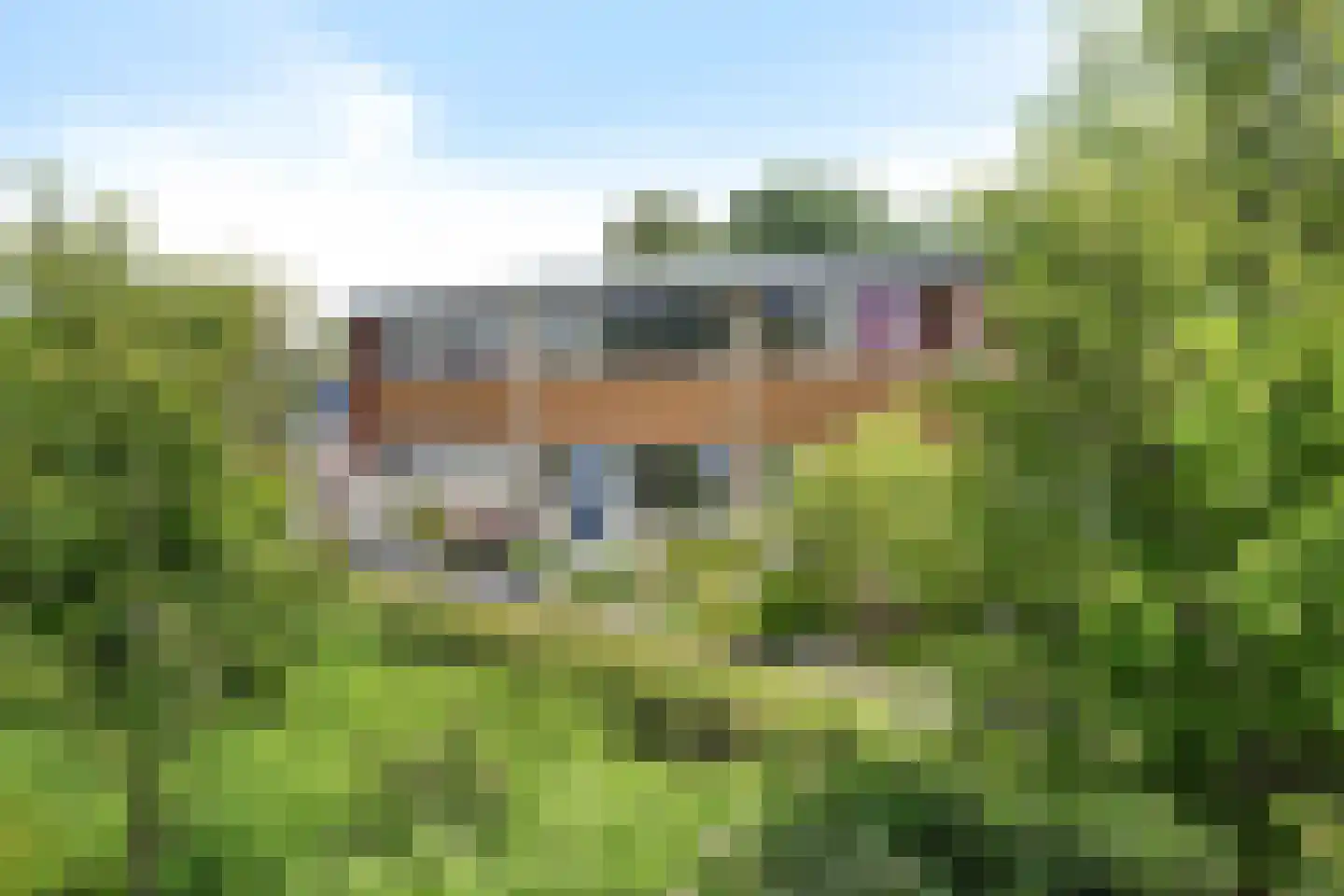 Wekingeslag 25 Emmen thumbnail 36