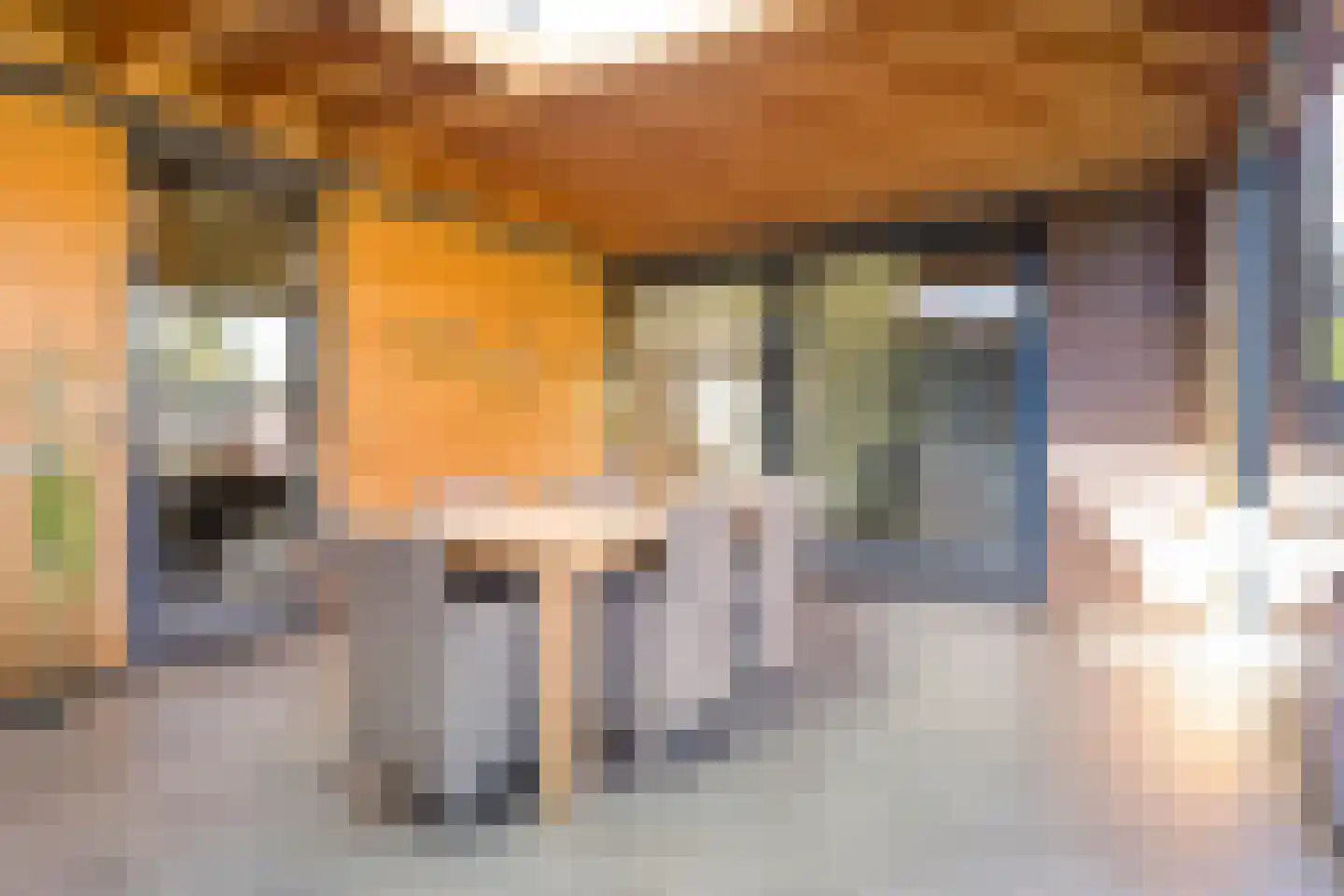 Welallee 14 Beegden thumbnail 30
