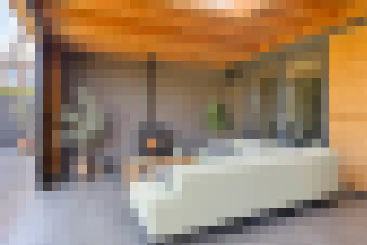 Welallee 14 Beegden thumbnail 31