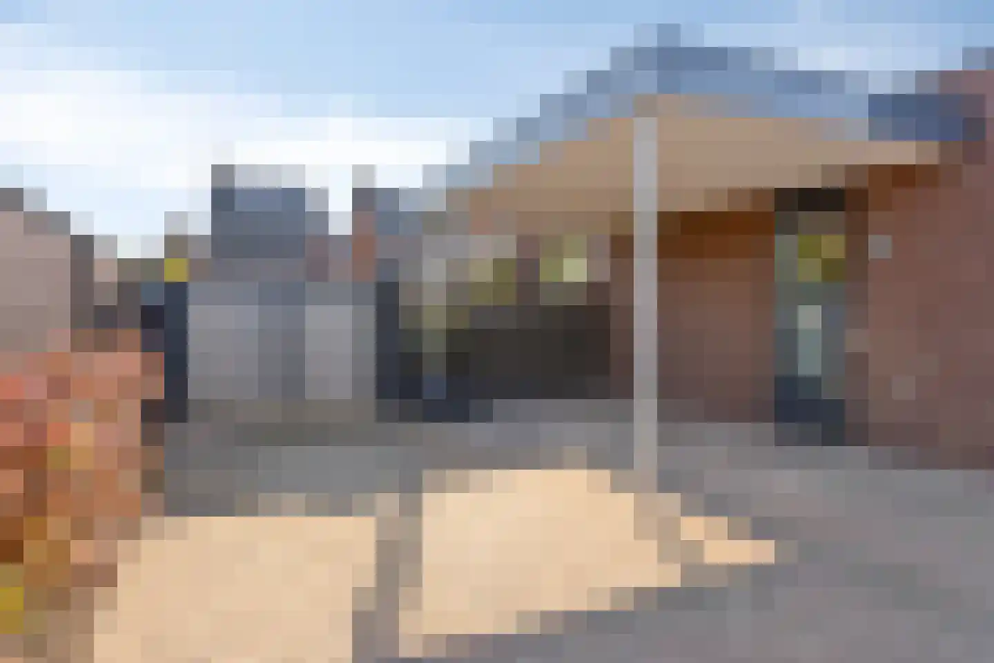 Welallee 14 Beegden thumbnail 40