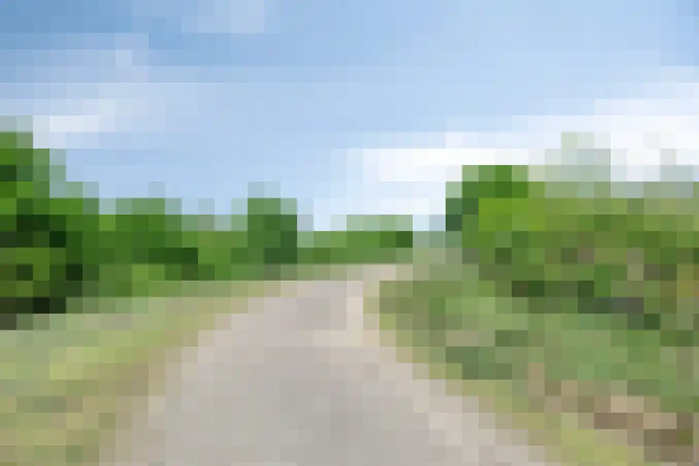 Welallee 14 Beegden thumbnail 44