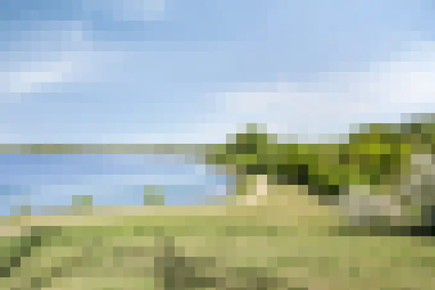 Welallee 14 Beegden thumbnail 45