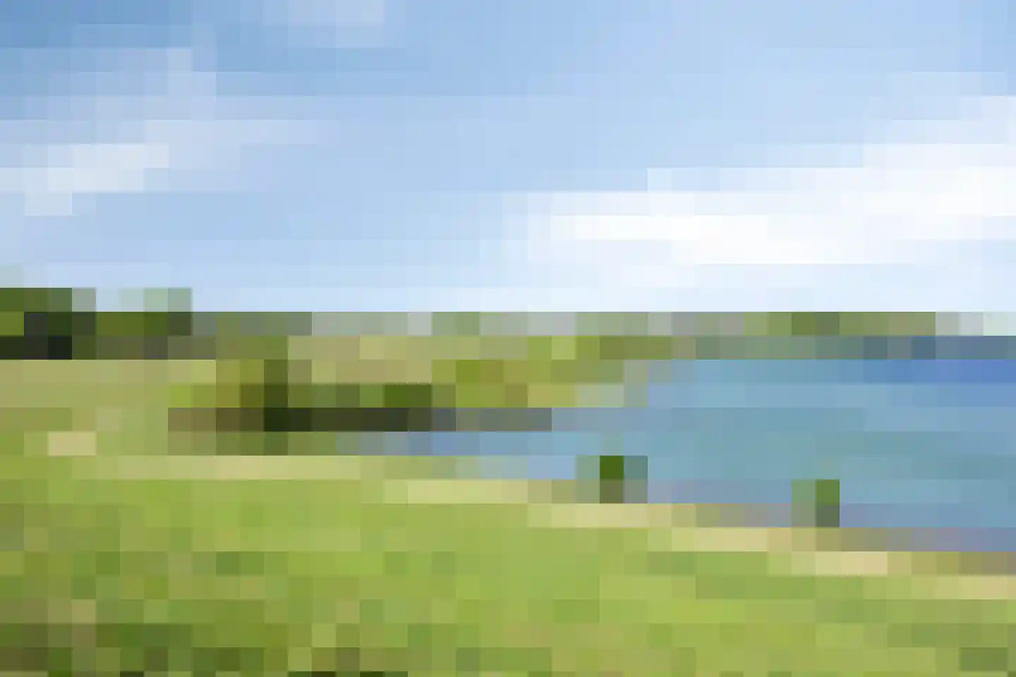 Welallee 14 Beegden thumbnail 47